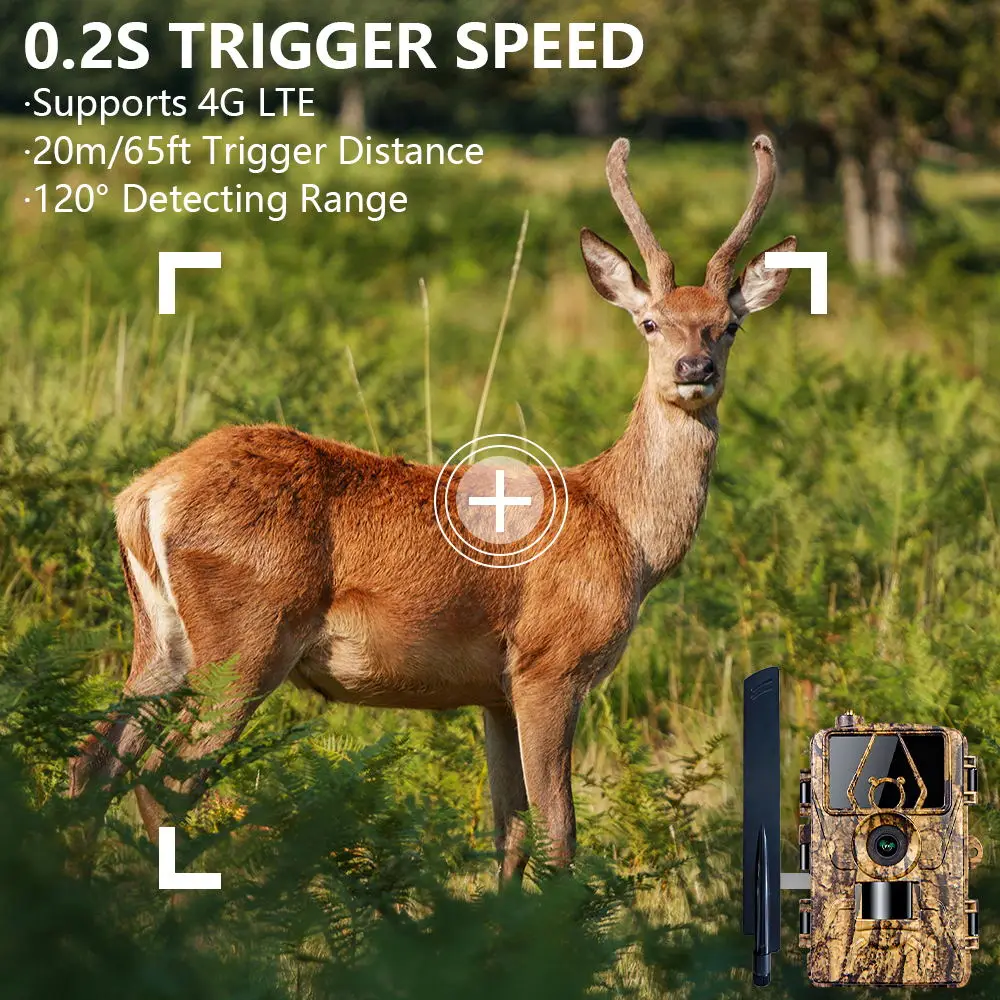 Cámara infrarroja HD8K para vi - Outdoor Hunting Video Camera reseña y precio