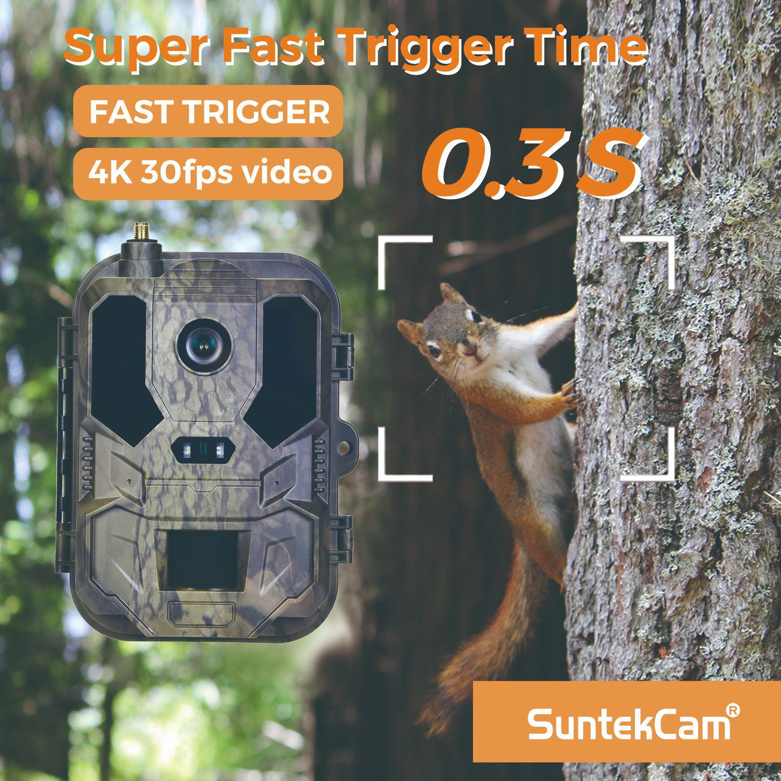 Vídeo 4K para exteriores, foto - Outdoor Hunting Video Camera reseña y precio
