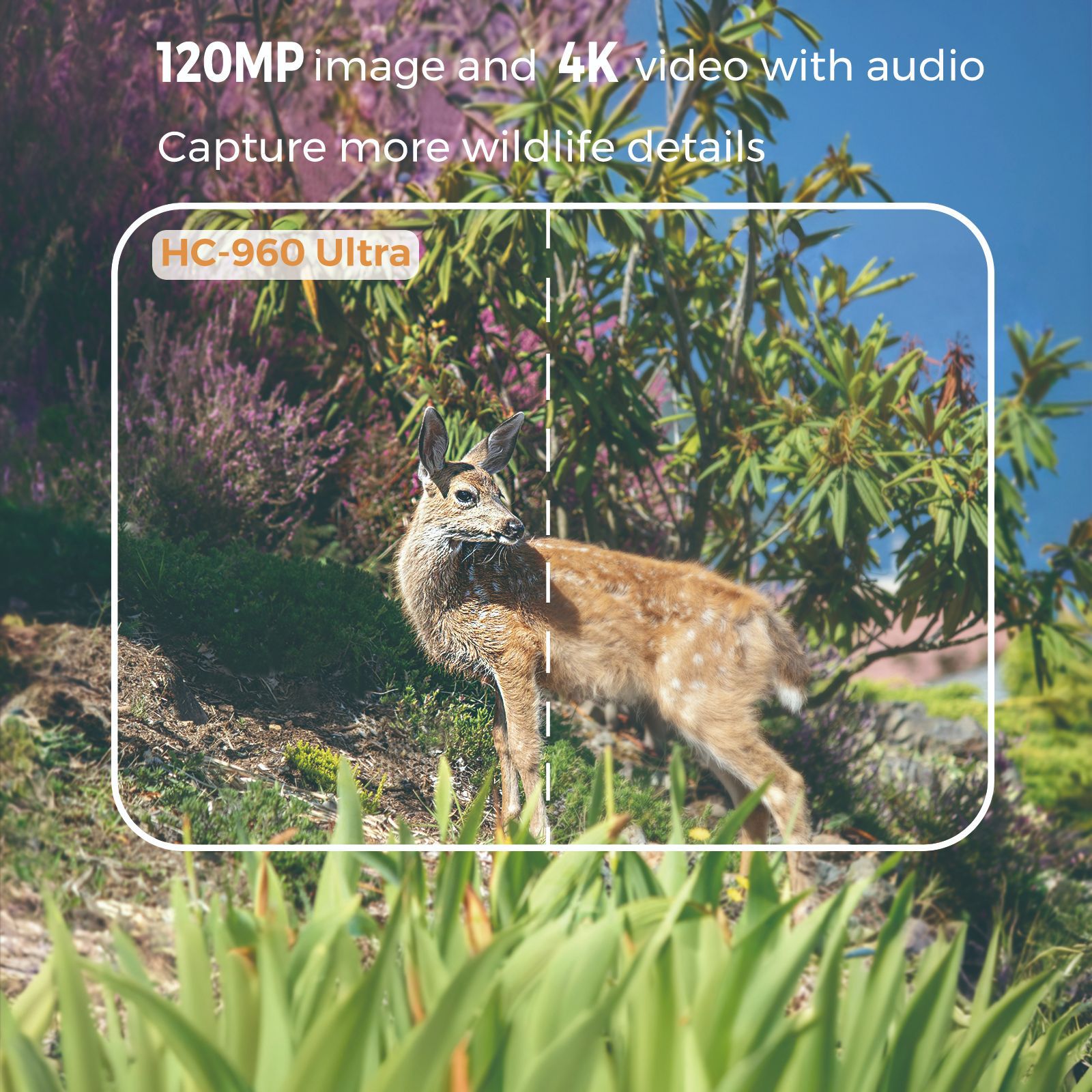 Vídeo 4K para exteriores, foto - Outdoor Hunting Video Camera reseña y precio