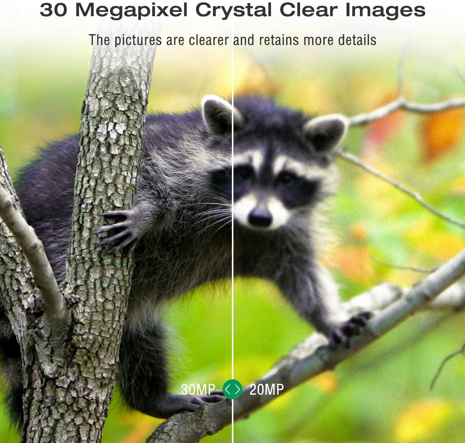 Cámara de Vigilancia Celular 4 - Outdoor Hunting Video Camera reseña y precio