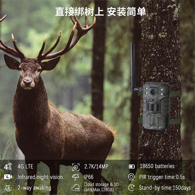 Cámara de Caza Solar 4G LTE co - Outdoor Hunting Video Camera reseña y precio