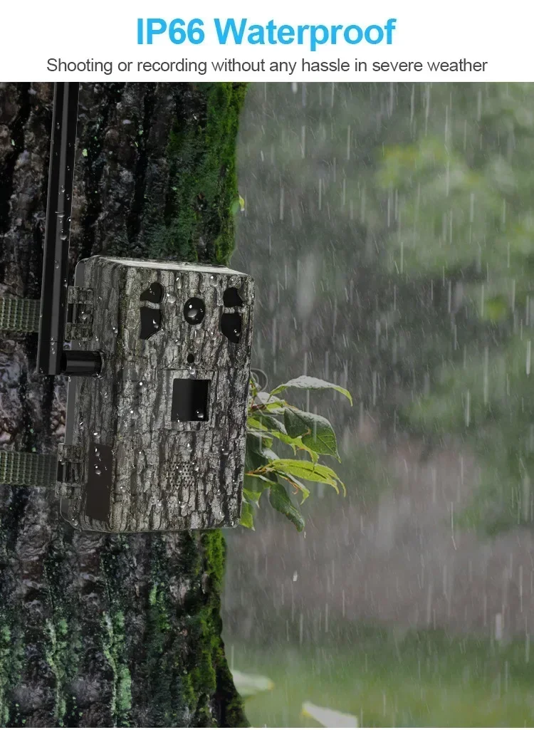 Cámara Solar de caza, visualiz - Outdoor Hunting Video Camera reseña y precio