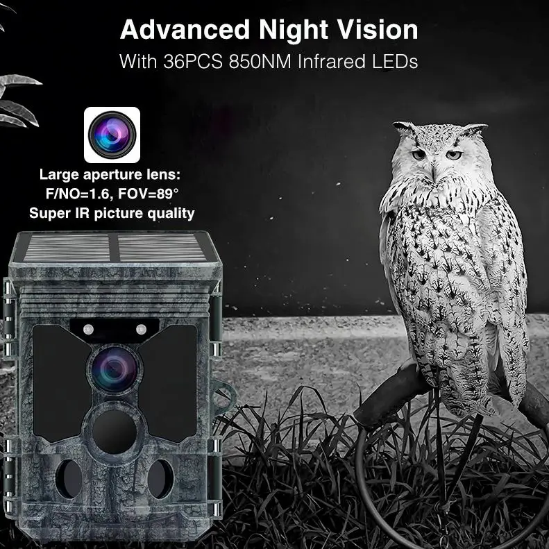 Nueva Tecnología, Cámara de Ca - Outdoor Hunting Video Camera reseña y precio