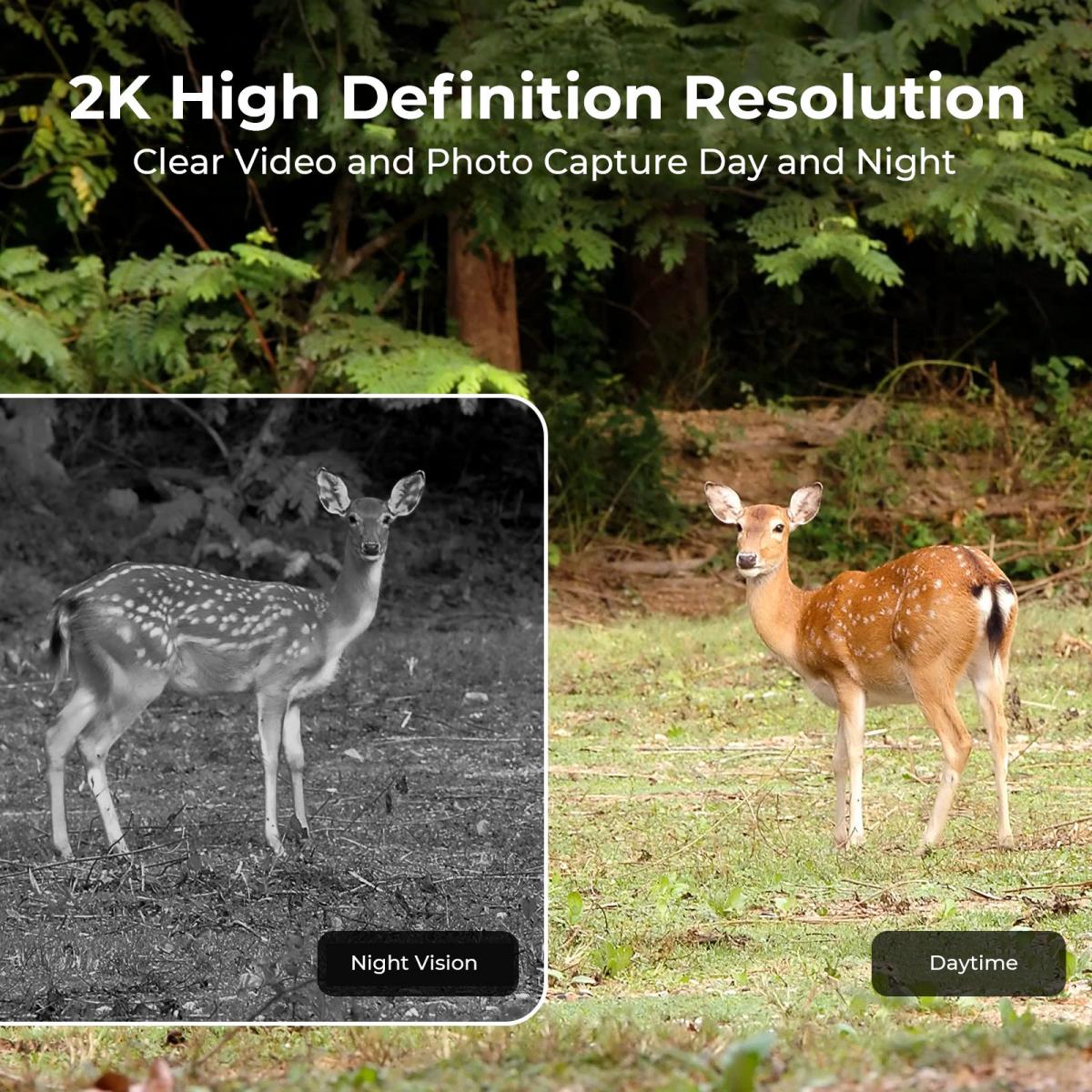 Cámara de Caza Celular 4G para - Outdoor Hunting Video Camera reseña y precio