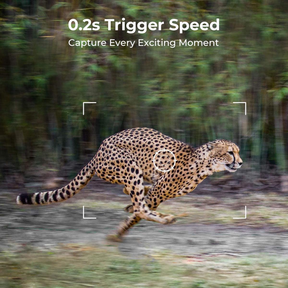 Cámara de Caza Celular 4G para - Outdoor Hunting Video Camera reseña y precio