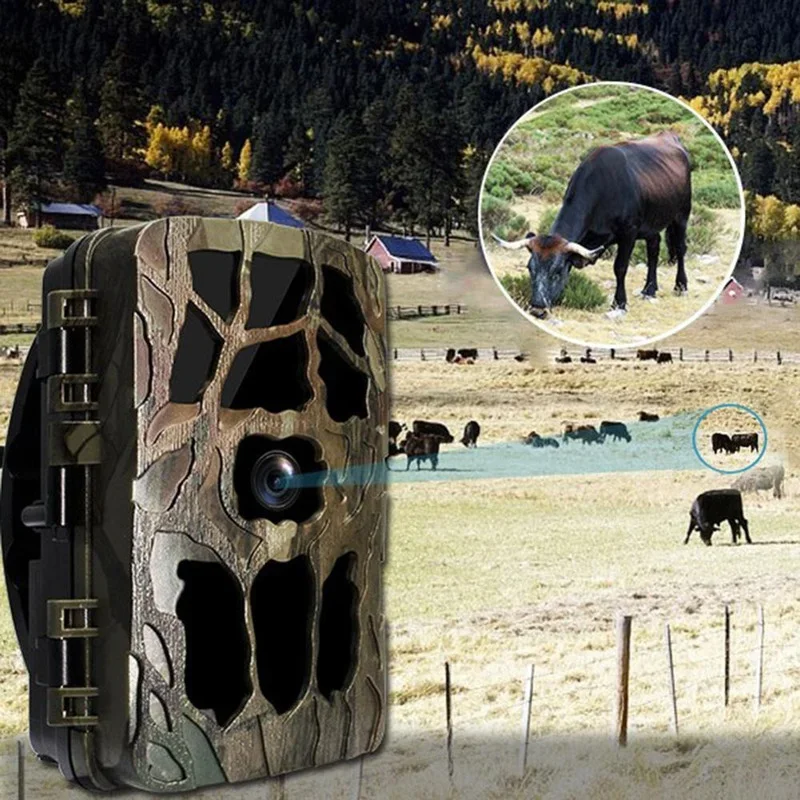 H982 IP66 impermeable 4K infra - Outdoor Hunting Video Camera reseña y precio