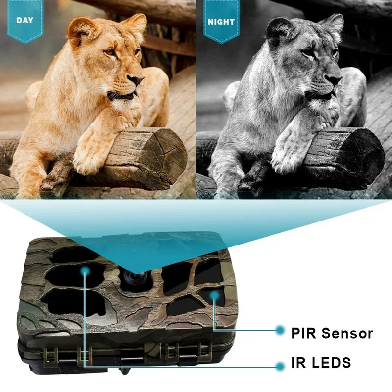 H982 IP66 impermeable 4K infra - Outdoor Hunting Video Camera reseña y precio