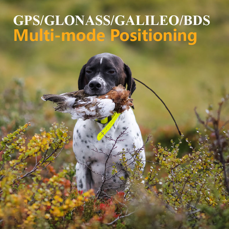 Rastreador GPS Global para Mas - Outdoor Hunting Dog Supply reseña y precio
